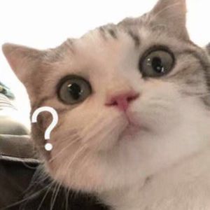 亚洲成AV人在线观看天堂无码
